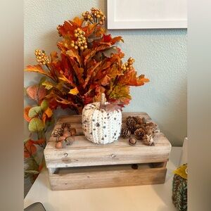 Cream w/dots Mini Pumpkin